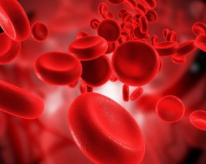 Ученые выяснили, какая группа крови самая опасная