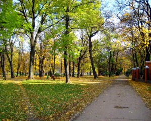 Няня впустила малюка на тротуар і заснула