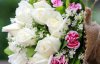Закоханий юнак поцупив квітів на 3 тис. грн