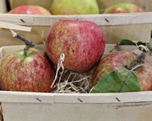 Жінку оштрафували на 11 тисяч за домашні яблука