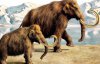 На Земле снова появятся мамонты