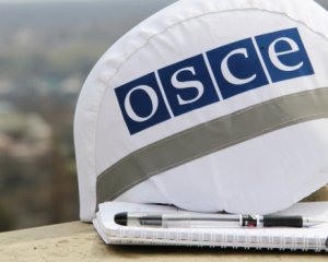 Депутаты осудили ОБСЕ: просят разобраться с антиукраинским отчетом