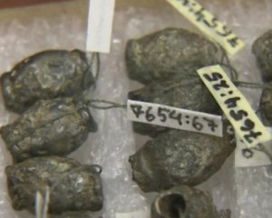 Археологи нашли клад викингов