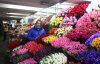 "За день имеем месячный доход" - как продавцы цветов готовятся к 8 марта