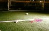Футбольні ворота вбили 13-річну дитину