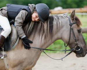 Стать умнее детям помогут лошади