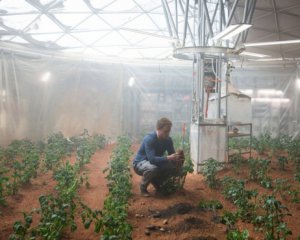 Вчені підтвердили можливість вирощування картоплі на Марсі