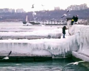 Чайки стали героями видеоролика о Черном море