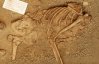 Археологи нашли "модно одетого" первобытного человека