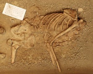 Археологи знайшли "модно одягнуту" первісну людину