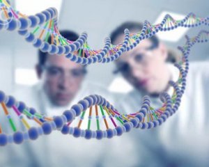 Вчені вперше виправили ДНК в ембріонах