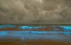 Блеск моря: пляжи Австралии превратились в голубое световое шоу