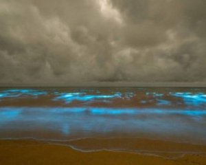 Блеск моря: пляжи Австралии превратились в голубое световое шоу