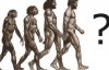 Людина еволюціонувала не від мавпи - вчені