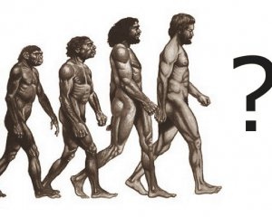 Людина еволюціонувала не від мавпи - вчені