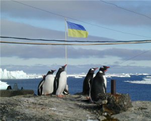 Украинцы изобрели лекарство из антарктических микробов