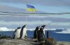 Украинскую станцию в Антарктиде посещает 4 тыс туристов в год