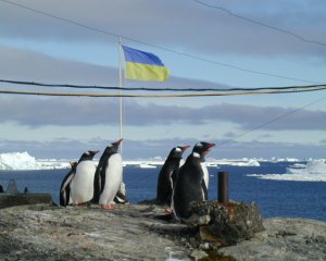 Украинскую станцию в Антарктиде посещает 4 тыс туристов в год