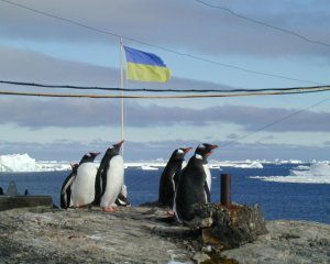 Українська станція в Антарктиді приймає до 4 тис туристів на рік