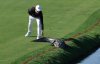 Игрок в гольф выгнал аллигатора с поля