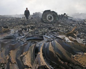 Назвали количество фигурантов трагедии МН17