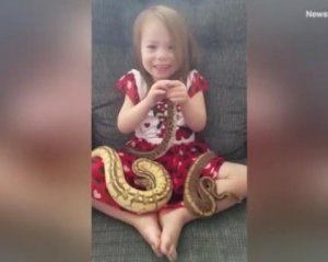 Світ шокувала 3-річна дівчинка, яка бавиться з королівськими пітонами