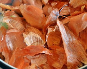 Цибулиння продають за 900 гривень