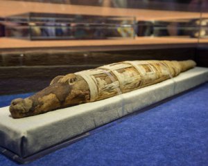 Археологи нашли мумию гигантского крокодила
