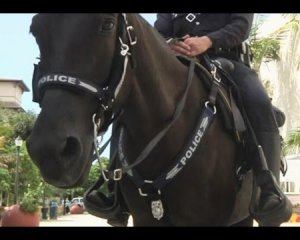 Полицейскаяна лошади сбила женщину