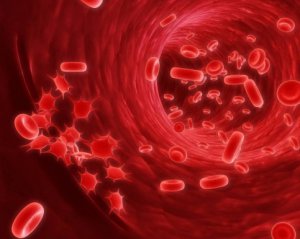 5 сигналов рака крови, которые подает организм