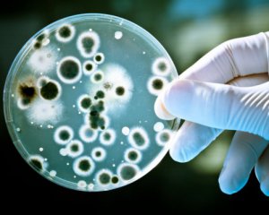 Люди могут заразить Марс