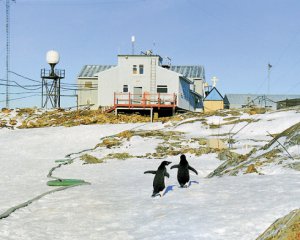 Как ученые исследуют Ледовый континент