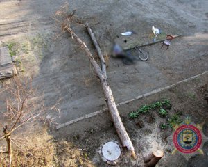 23-річного велосипедиста вбило спиляне дерево
