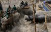 Разъяренный носорог напал на экологов