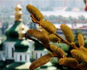 Вербное воскресенье: чем особенный этот день