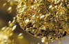 Cengart Financial Inc просить владу захистити інвестиції компанії, вкладені у видобуток золота