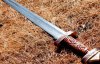 Вчені пояснили для чого вікінгам потрібні були мечі