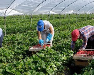 Експерт розповів, скільки українців виїхали на роботу в Польщу