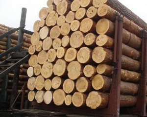 Бальцерович объяснил свою позицию относительно экспорта леса по требованию МВФ