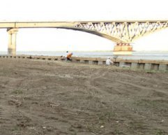 У Криму знищують пляжі та рослини Червоної книги