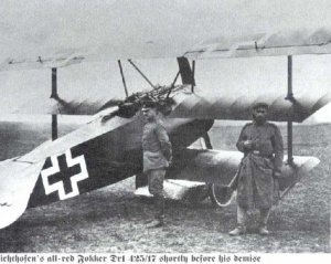 Обшивку літака німецького аса роздерли на сувеніри