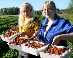 Заробітчани вклали в економіку більше за іноземних інвесторів