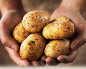Ціни на картоплю поставили новий рекорд