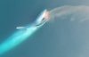Как питается синий кит - ученые сняли уникальное видео