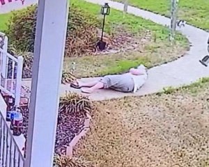 Два королевских дога отправили хозяйку в полет