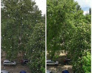 У Києві пішов сніг