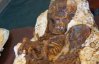 Археологи знайшли скам'янілу мати з немовлям