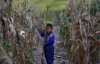 Как проходит детство в Северной Корее: шокирующие факты и снимки