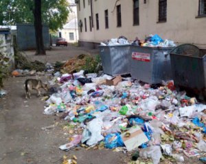 Показали, скільки сміття залишається після ярмарків у столиці
