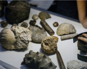 Археологи знайшли металеві інструменти давніх людей